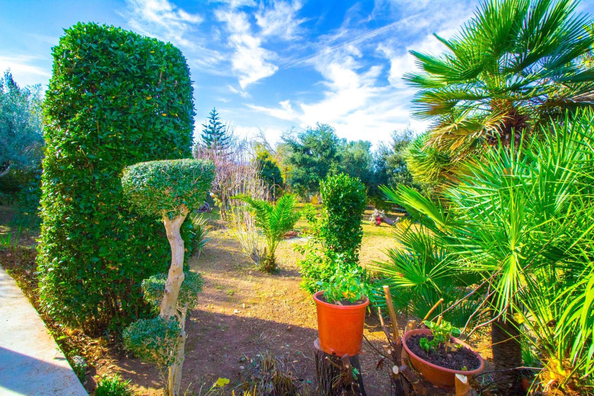 Ferienhaus Sunny With Private Pool, Ac And Wifi Port de Pollença