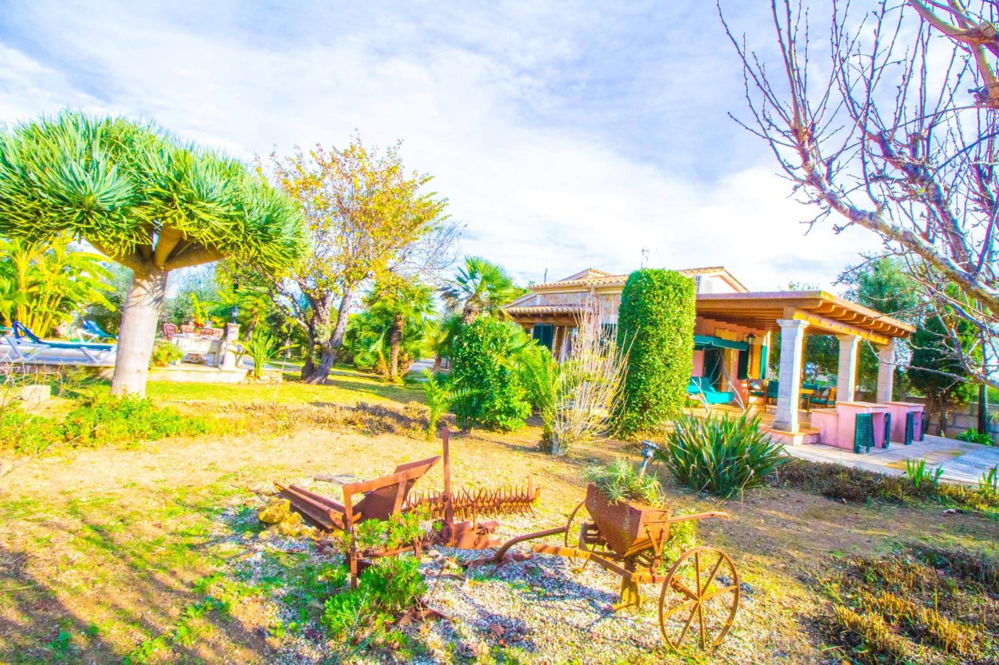 Sunny With Private Pool, Ac And Wifi Port de Pollença