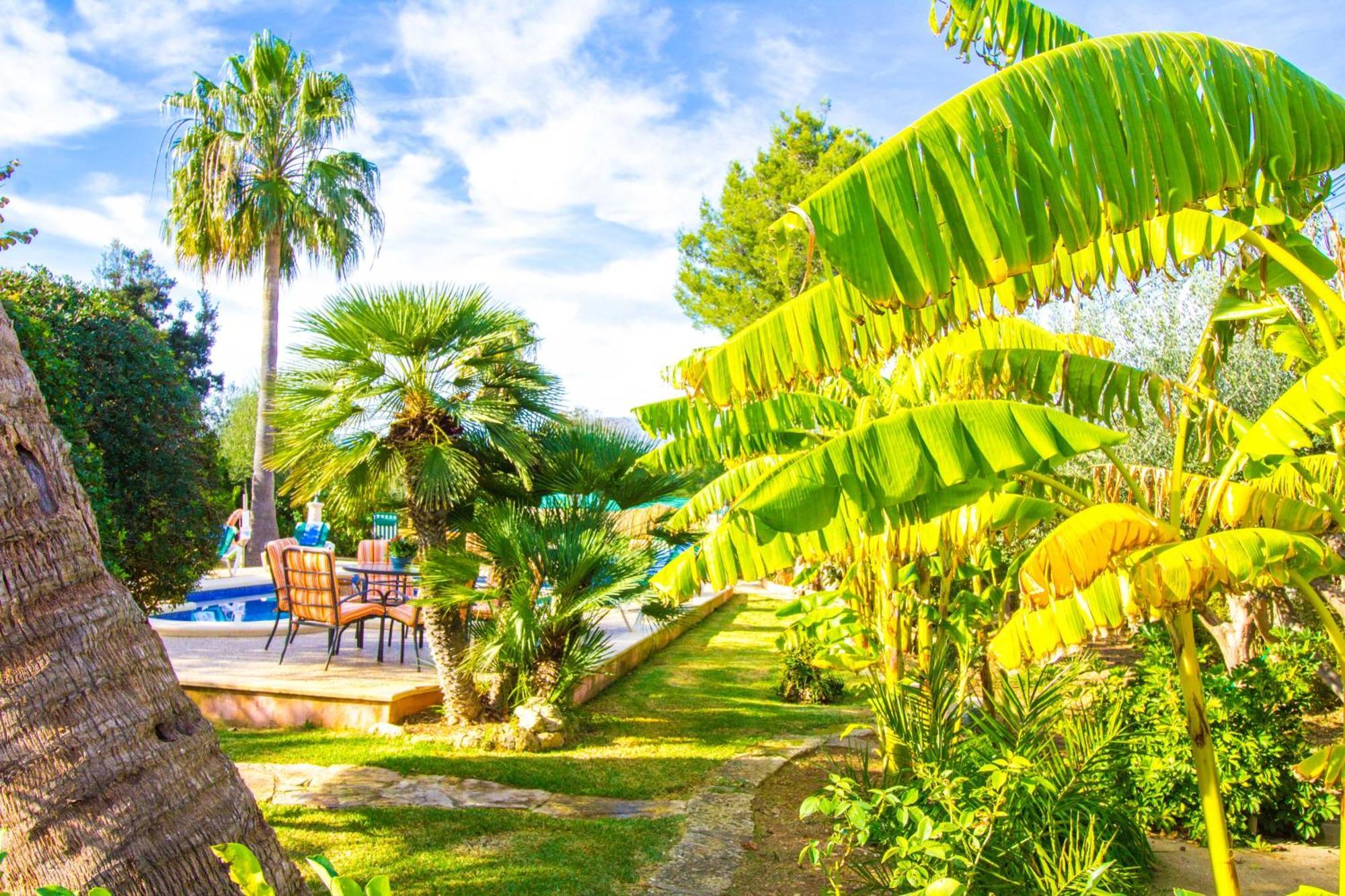 Sunny With Private Pool, Ac And Wifi